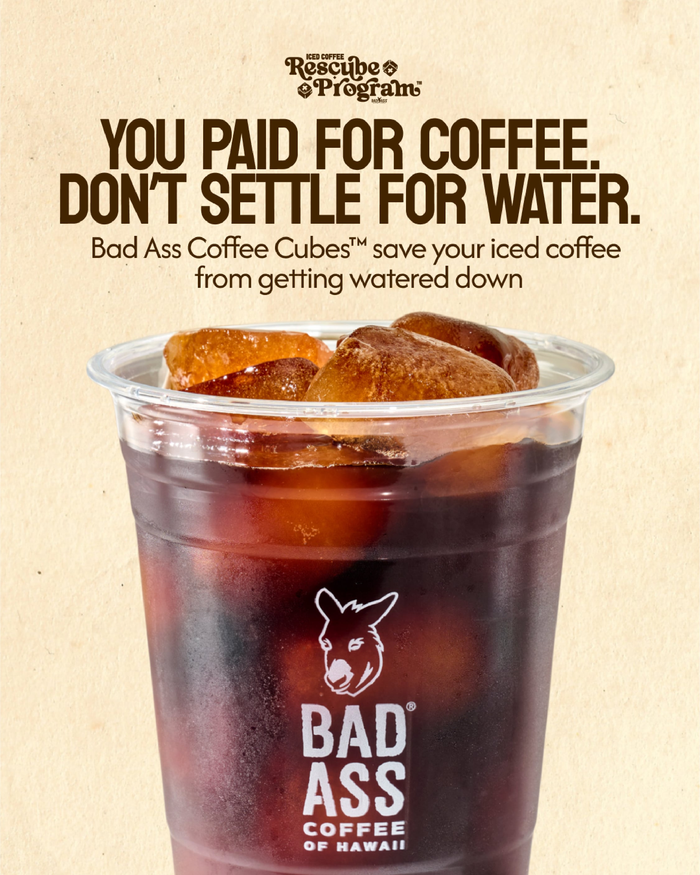 Bad Ass Coffee Untitled-3-03