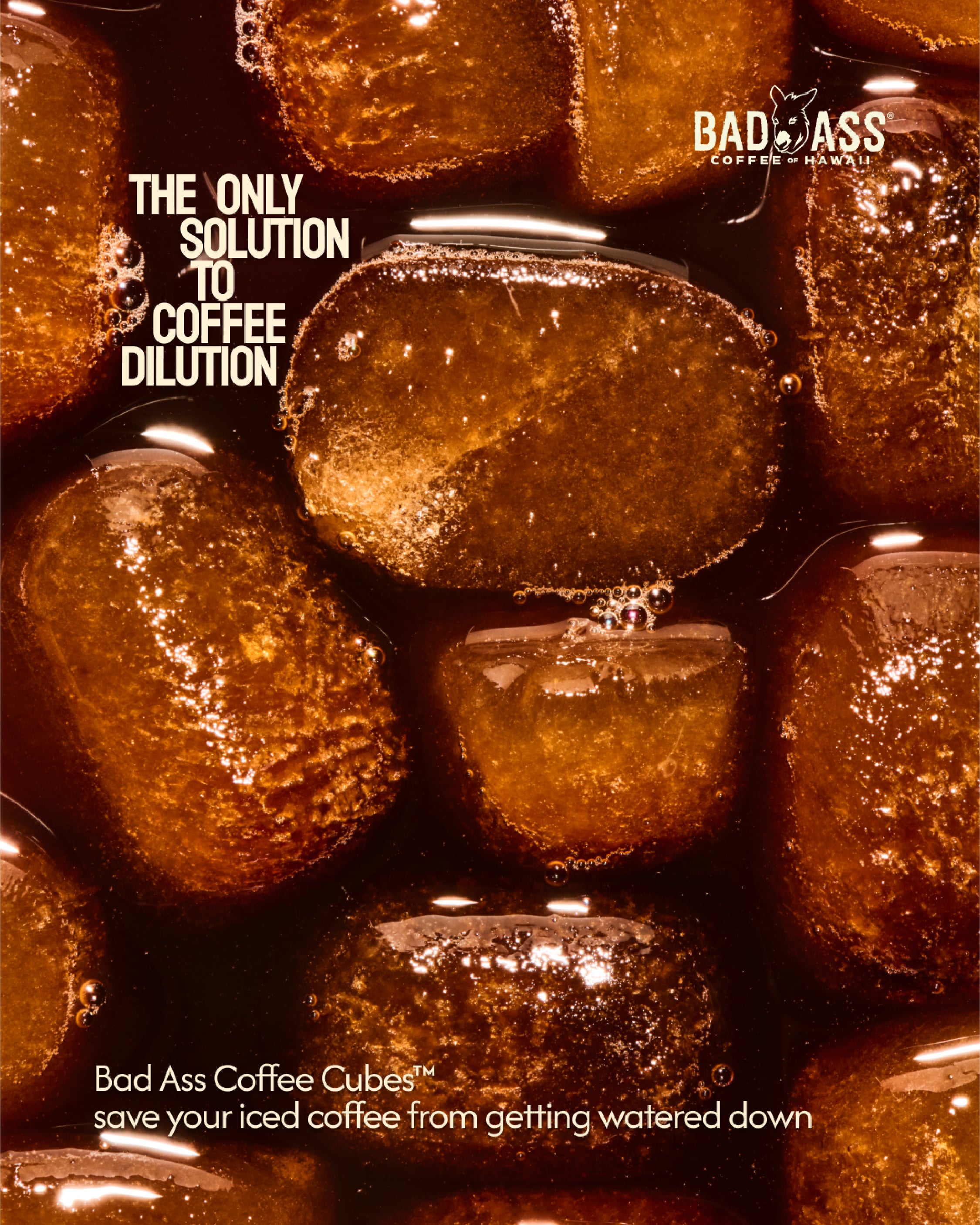 Bad Ass Coffee Untitled-3-04