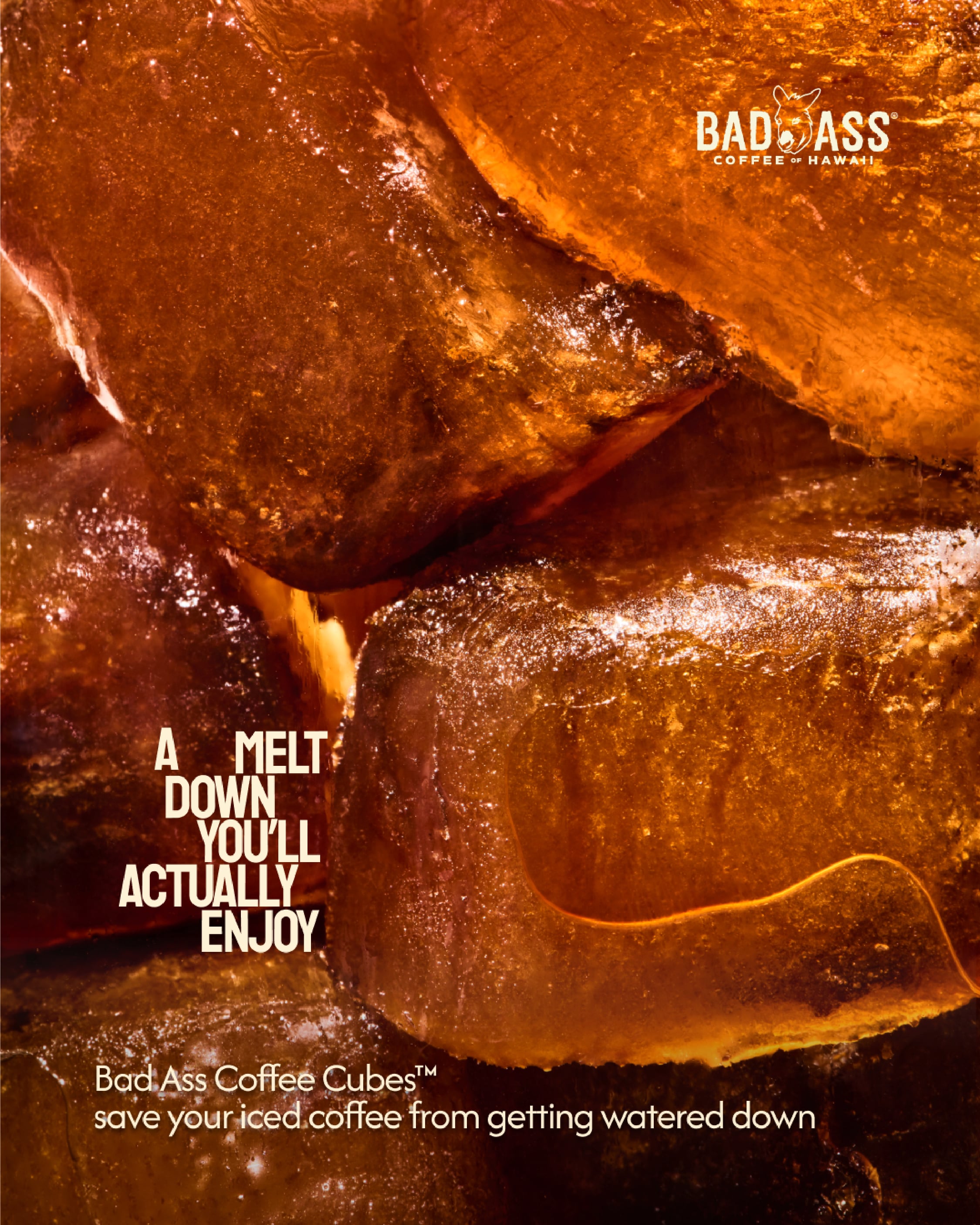 Bad Ass Coffee Untitled-3-06