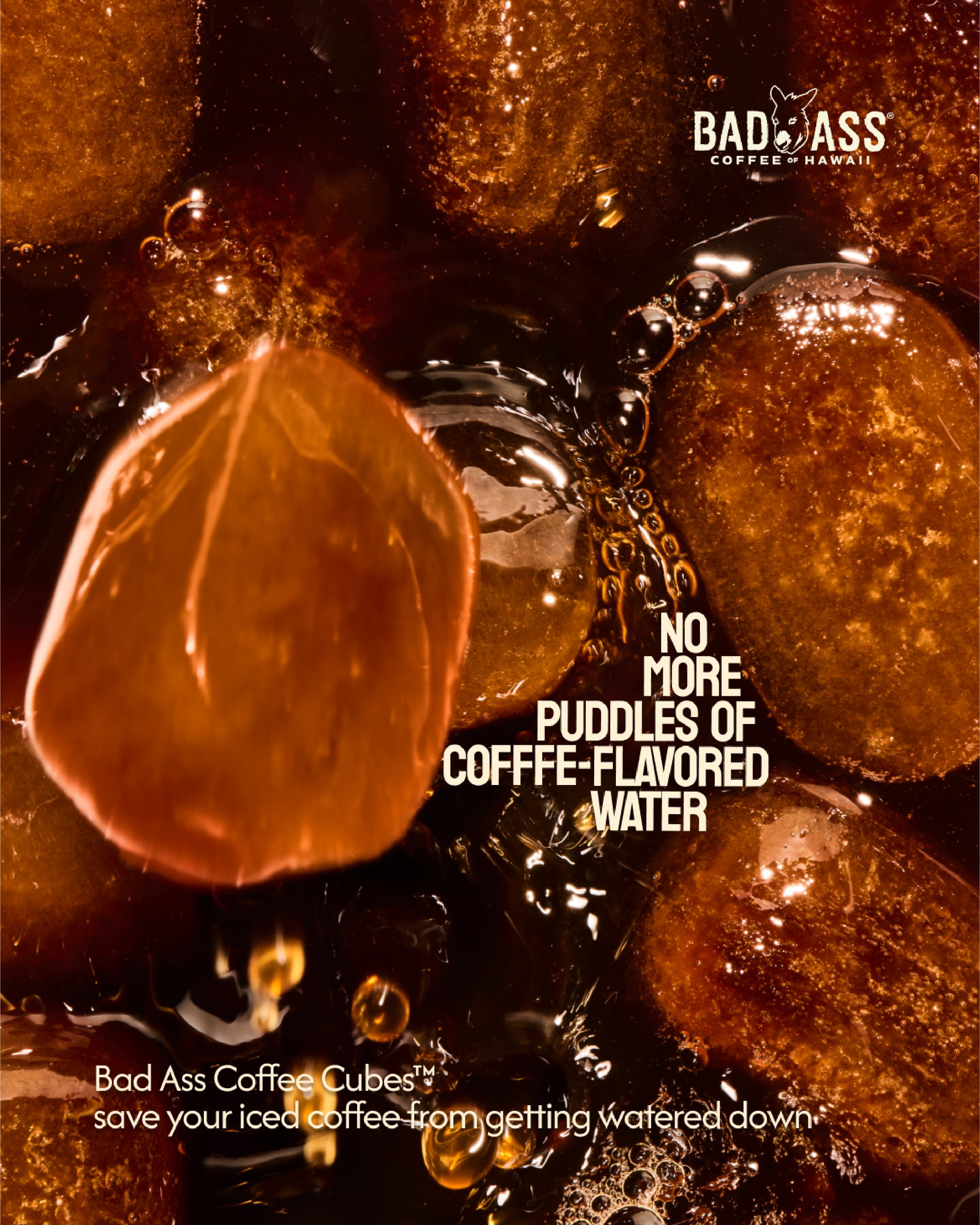 Bad Ass Coffee Untitled-3-07