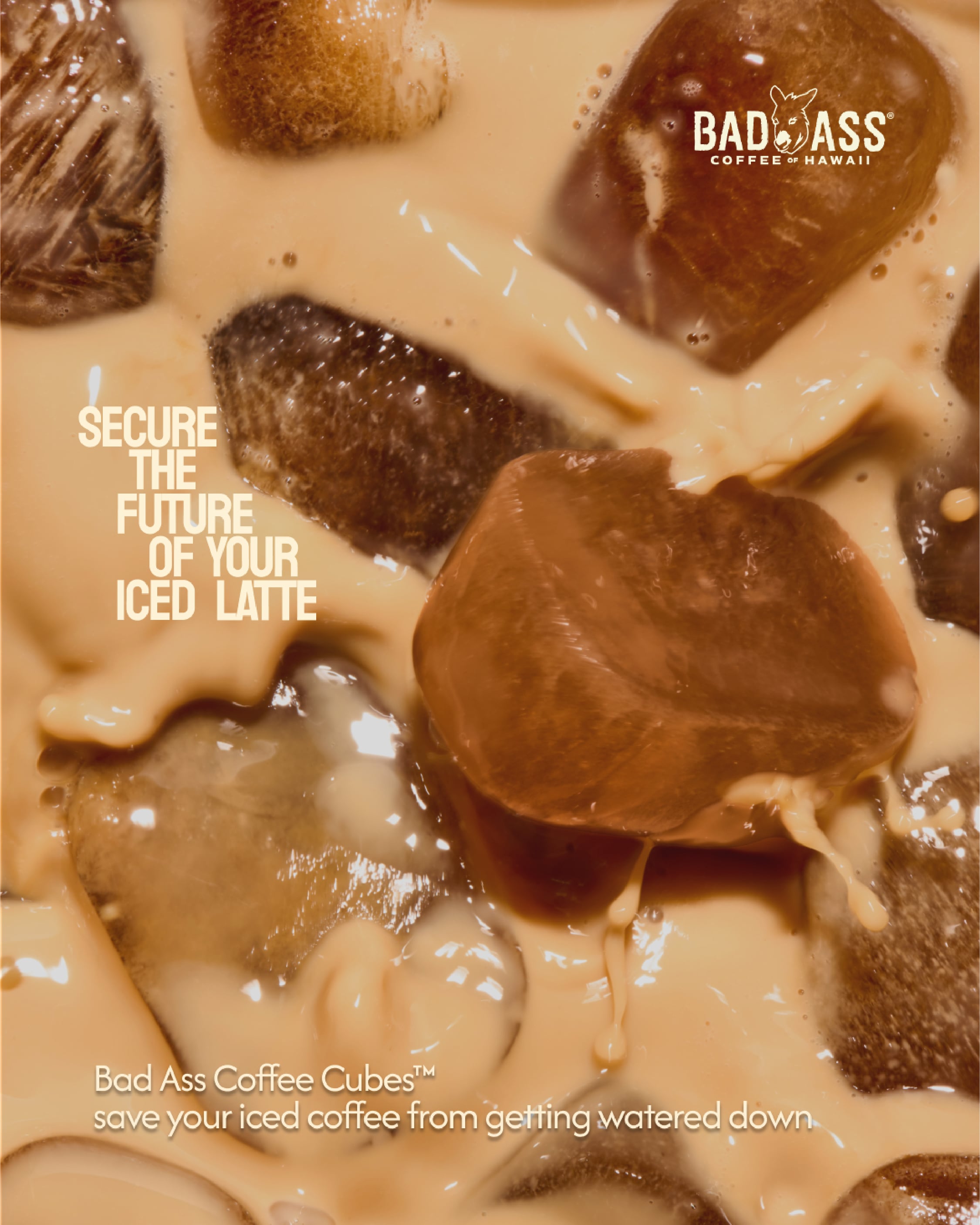 Bad Ass Coffee Untitled-3-08