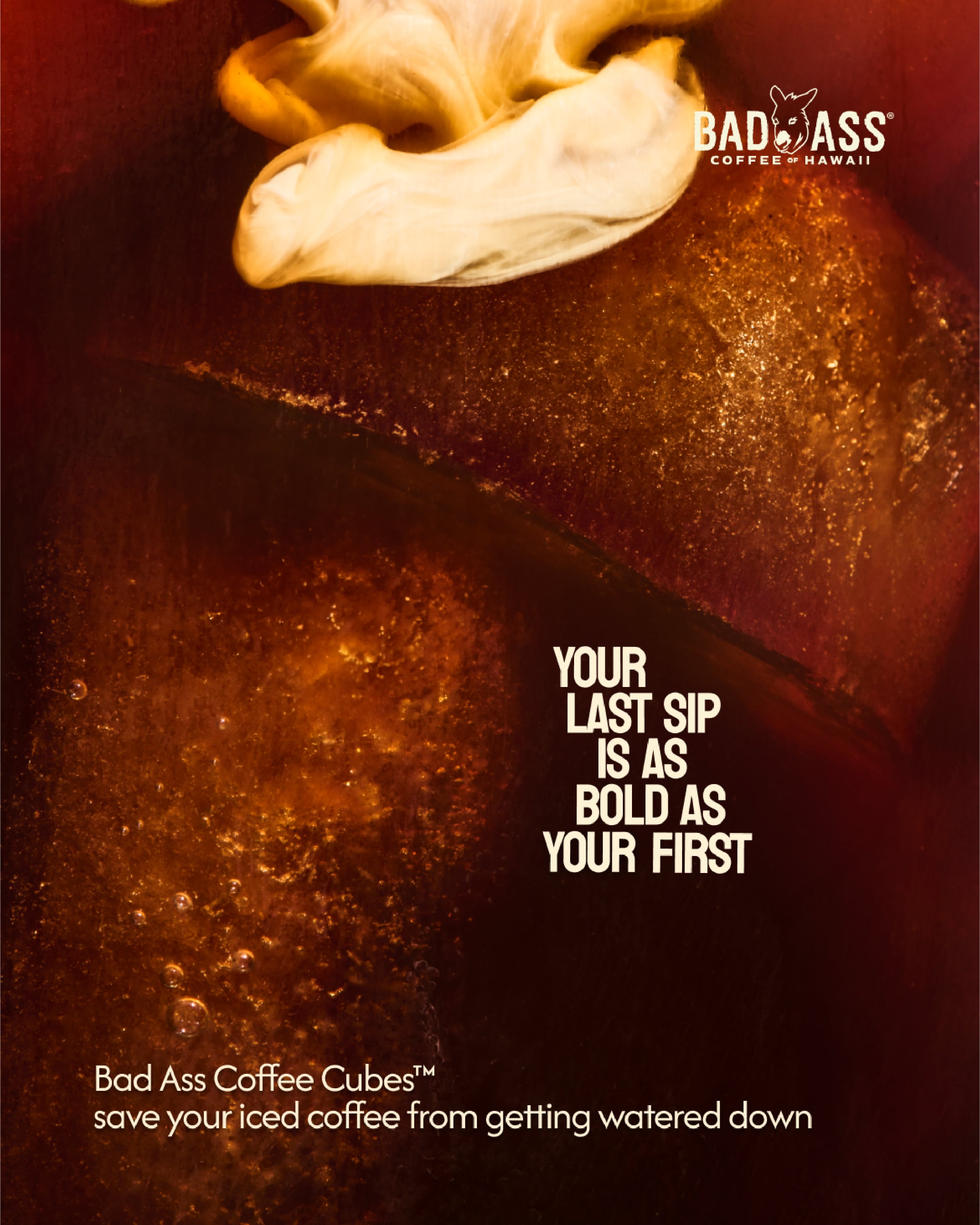 Bad Ass Coffee Untitled-3-09